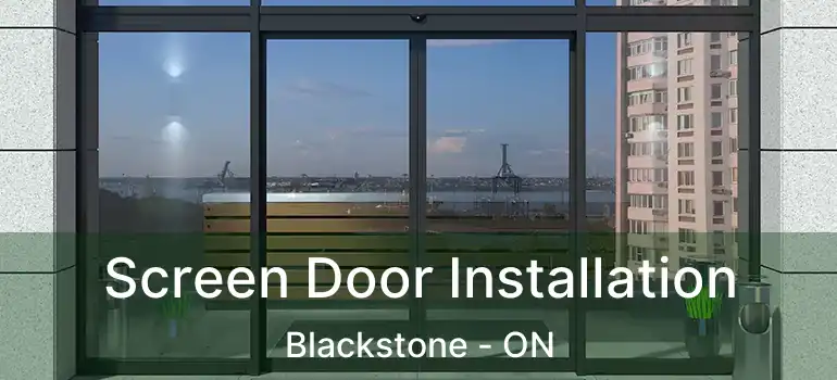  Screen Door Installation Blackstone - ON