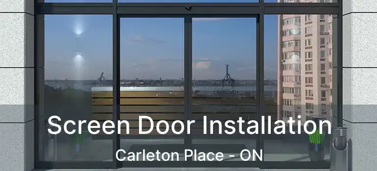  Screen Door Installation Carleton Place - ON