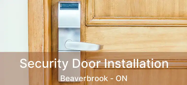  Security Door Installation Beaverbrook - ON