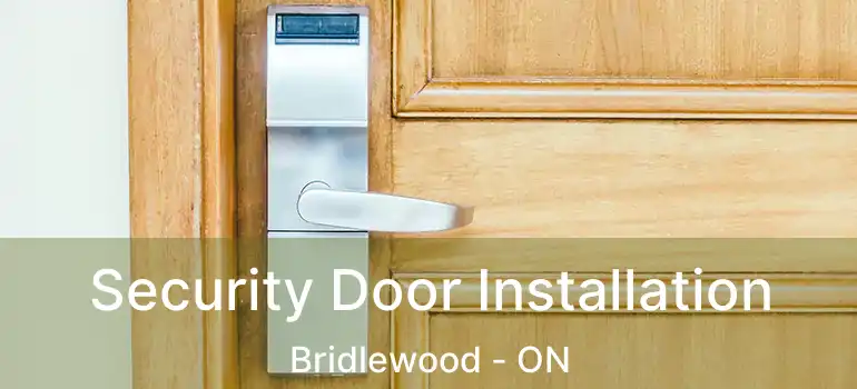  Security Door Installation Bridlewood - ON