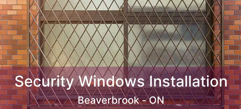  Security Windows Installation Beaverbrook - ON