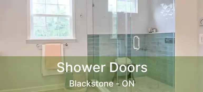  Shower Doors Blackstone - ON