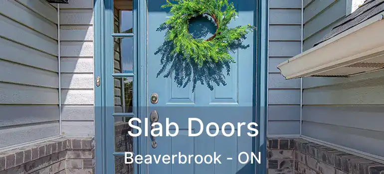  Slab Doors Beaverbrook - ON