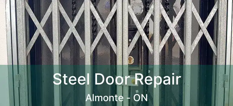  Steel Door Repair Almonte - ON