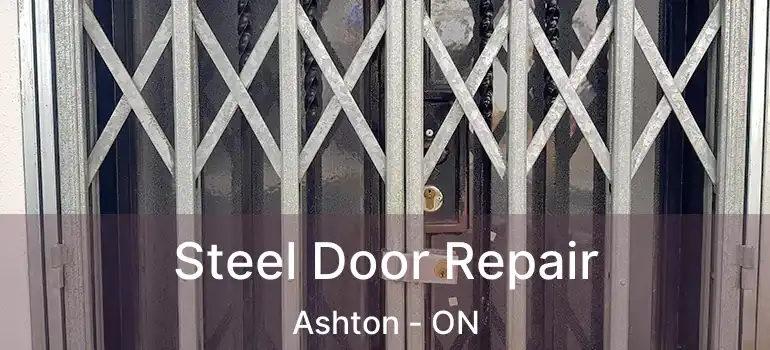 Steel Door Repair Ashton - ON