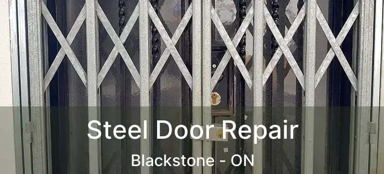  Steel Door Repair Blackstone - ON