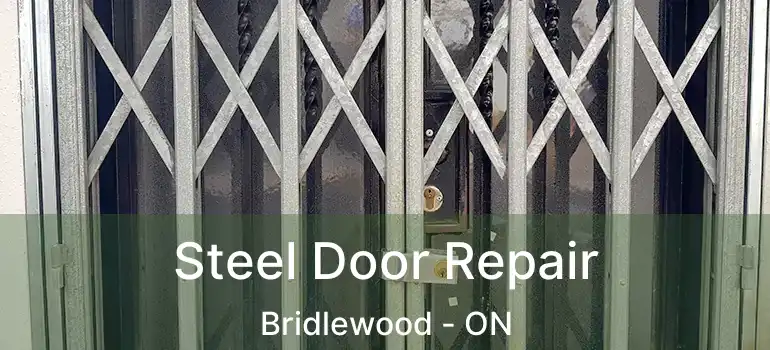  Steel Door Repair Bridlewood - ON