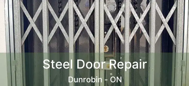  Steel Door Repair Dunrobin - ON