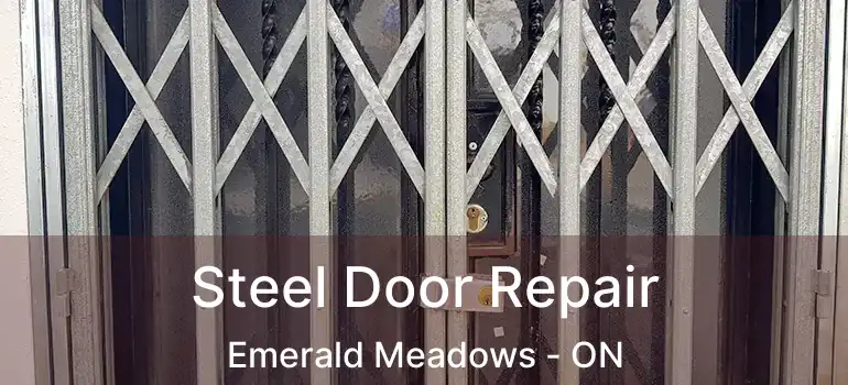  Steel Door Repair Emerald Meadows - ON