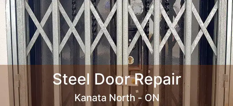  Steel Door Repair Kanata North - ON