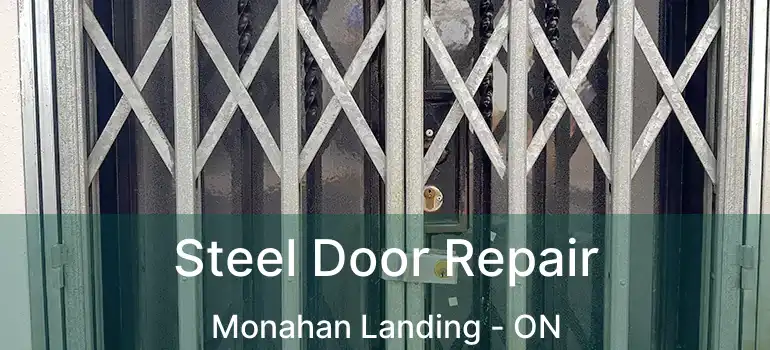  Steel Door Repair Monahan Landing - ON