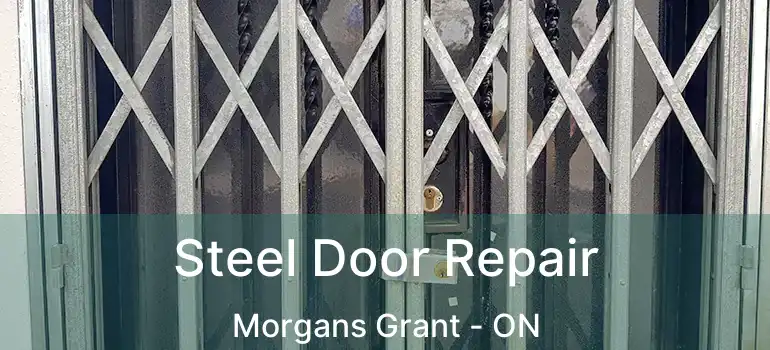  Steel Door Repair Morgans Grant - ON