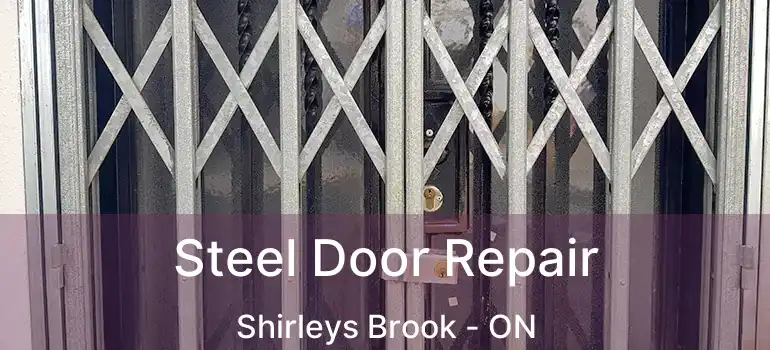  Steel Door Repair Shirleys Brook - ON