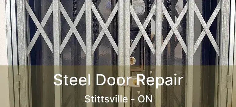  Steel Door Repair Stittsville - ON