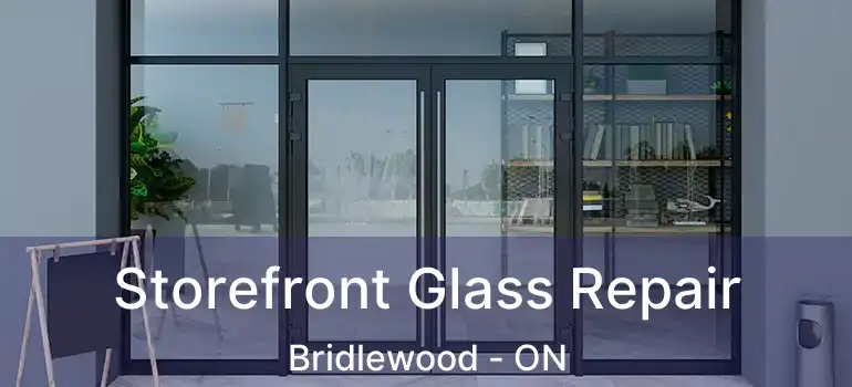  Storefront Glass Repair Bridlewood - ON