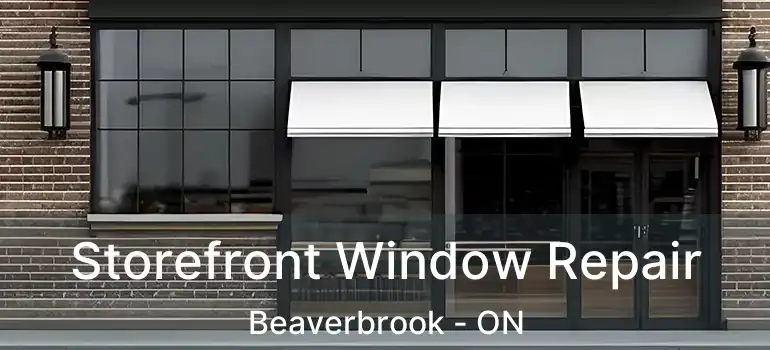  Storefront Window Repair Beaverbrook - ON