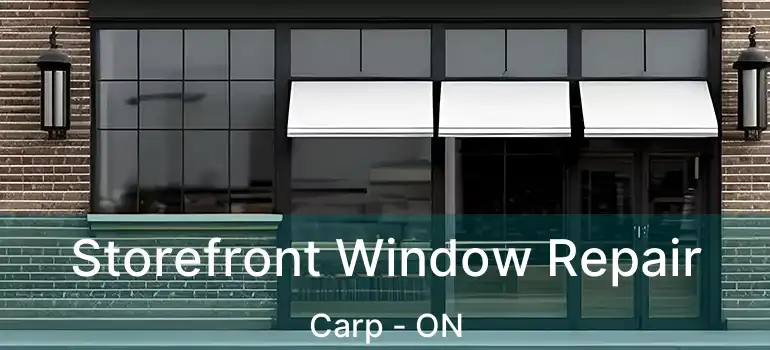  Storefront Window Repair Carp - ON