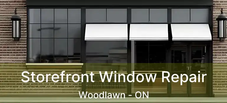  Storefront Window Repair Woodlawn - ON