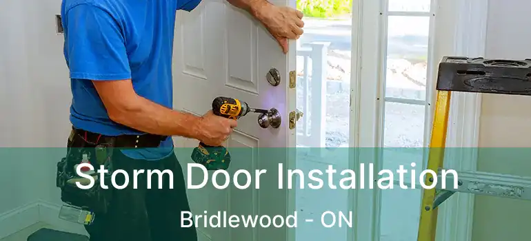  Storm Door Installation Bridlewood - ON
