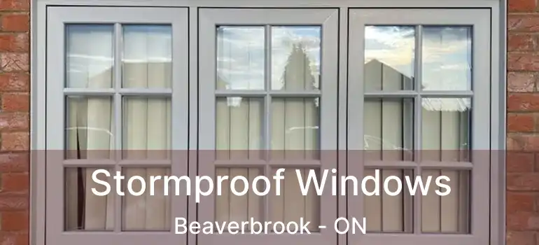 Stormproof Windows Beaverbrook - ON