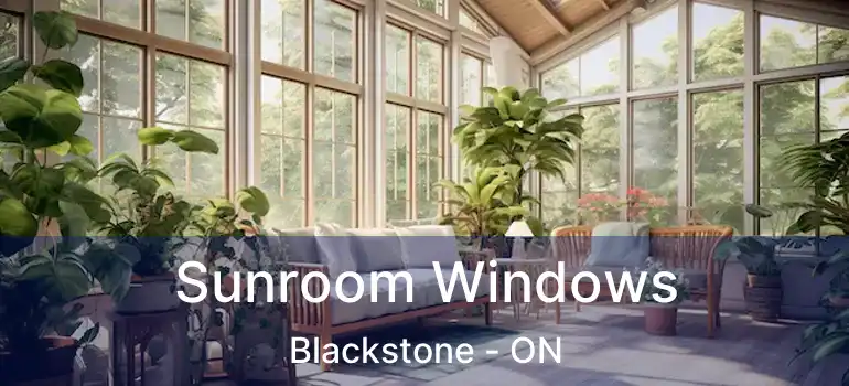  Sunroom Windows Blackstone - ON
