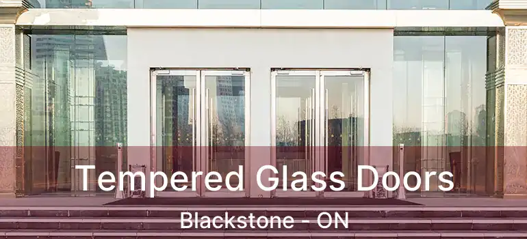  Tempered Glass Doors Blackstone - ON
