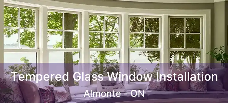  Tempered Glass Window Installation Almonte - ON