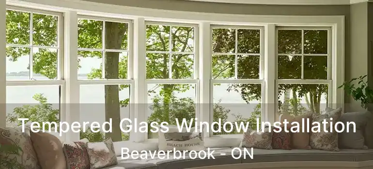  Tempered Glass Window Installation Beaverbrook - ON