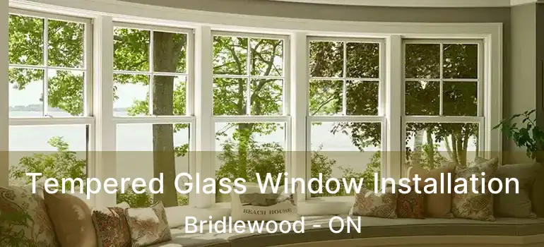  Tempered Glass Window Installation Bridlewood - ON