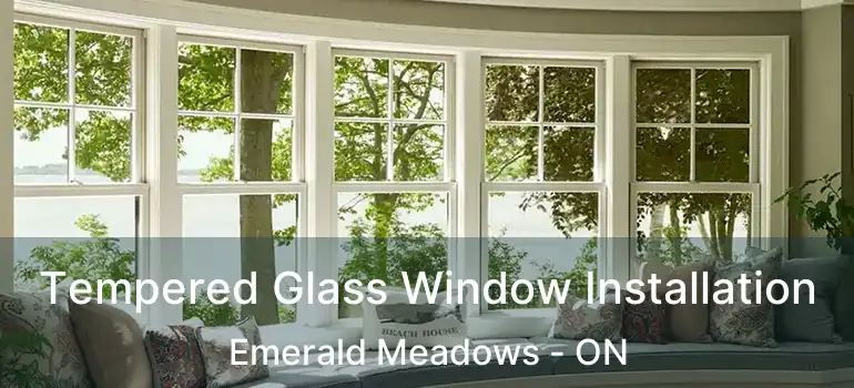  Tempered Glass Window Installation Emerald Meadows - ON