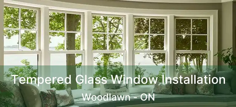  Tempered Glass Window Installation Woodlawn - ON