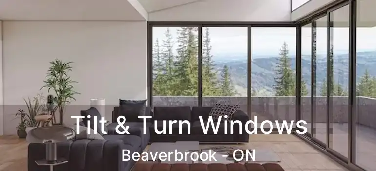  Tilt & Turn Windows Beaverbrook - ON