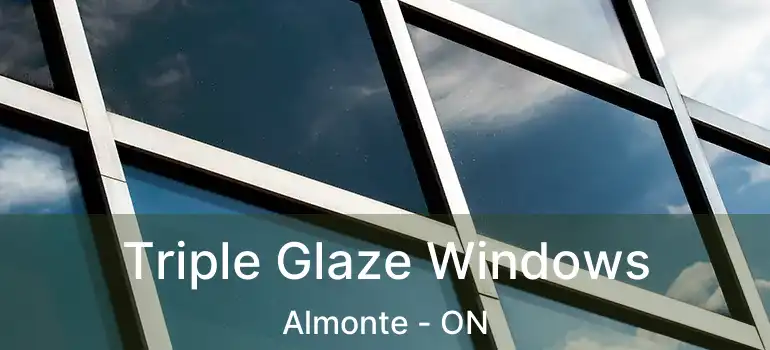  Triple Glaze Windows Almonte - ON
