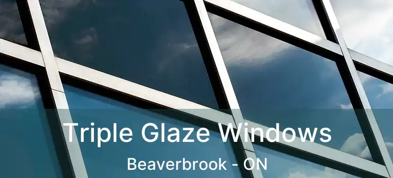  Triple Glaze Windows Beaverbrook - ON