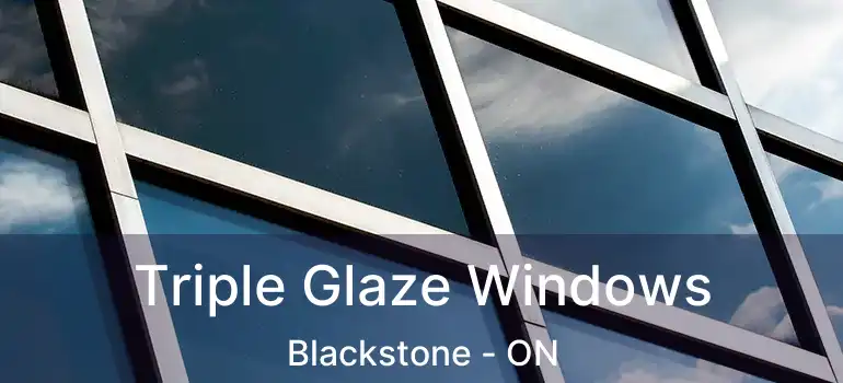 Triple Glaze Windows Blackstone - ON