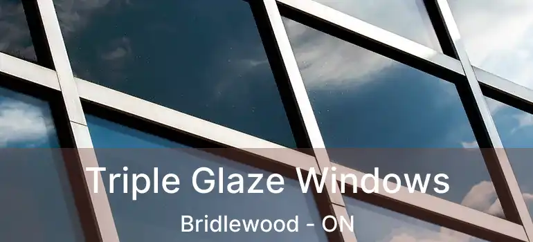  Triple Glaze Windows Bridlewood - ON