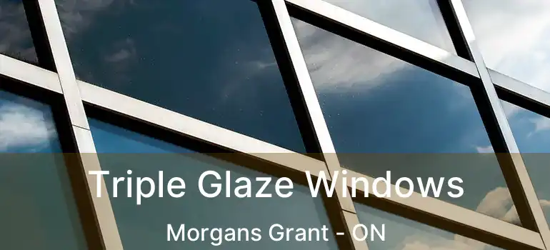  Triple Glaze Windows Morgans Grant - ON