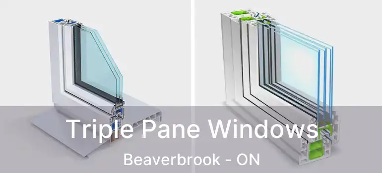  Triple Pane Windows Beaverbrook - ON