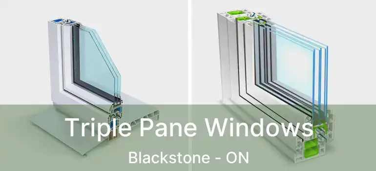  Triple Pane Windows Blackstone - ON