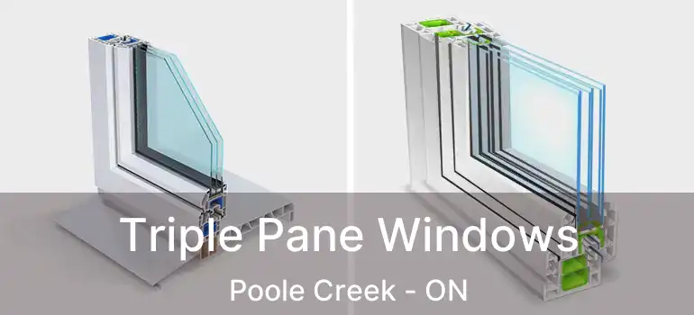  Triple Pane Windows Poole Creek - ON
