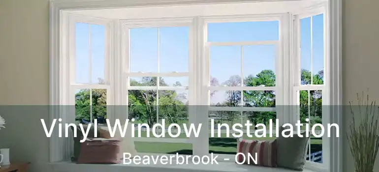  Vinyl Window Installation Beaverbrook - ON