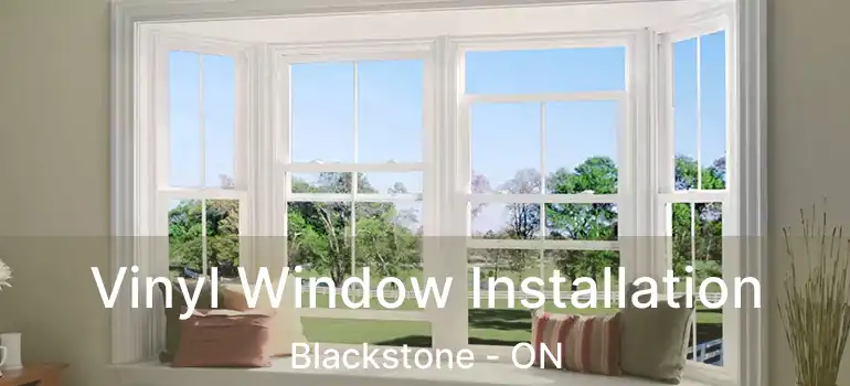  Vinyl Window Installation Blackstone - ON