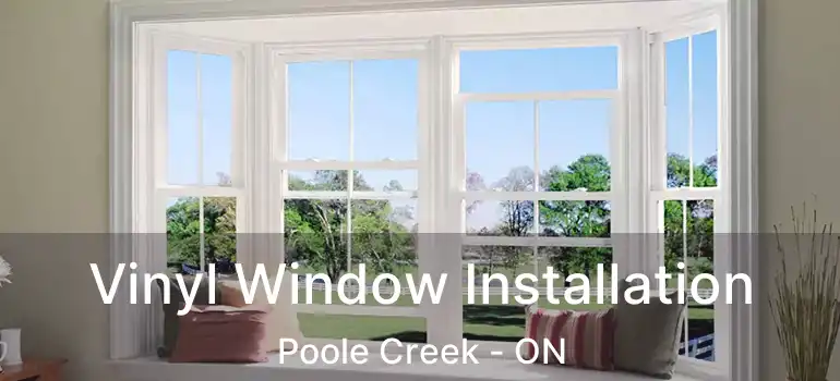 Vinyl Window Installation Poole Creek - ON