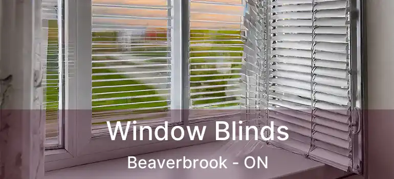  Window Blinds Beaverbrook - ON