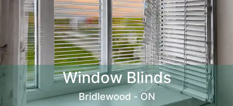  Window Blinds Bridlewood - ON