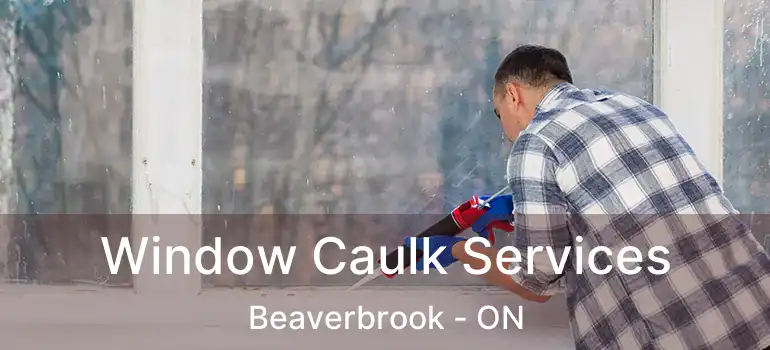  Window Caulk Services Beaverbrook - ON