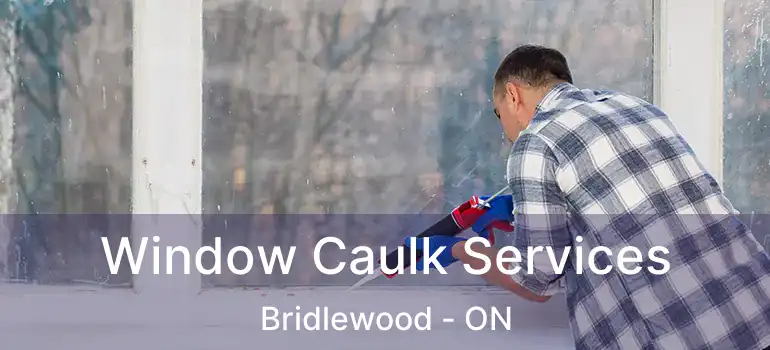  Window Caulk Services Bridlewood - ON