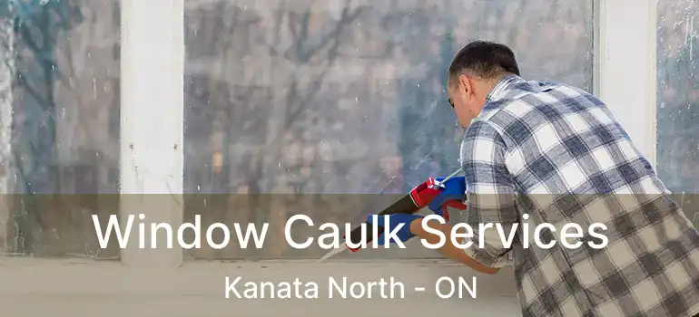  Window Caulk Services Kanata North - ON