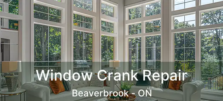  Window Crank Repair Beaverbrook - ON