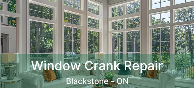  Window Crank Repair Blackstone - ON